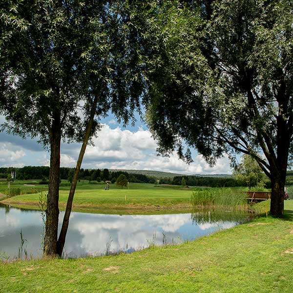Golfplatz und Bäume - Golfpark Bostalsee
