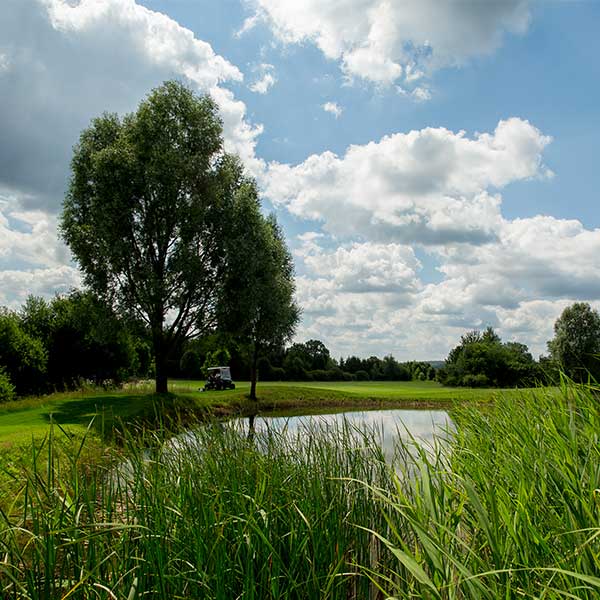 Golfplatz und Sträucher - Golfpark Bostalsee